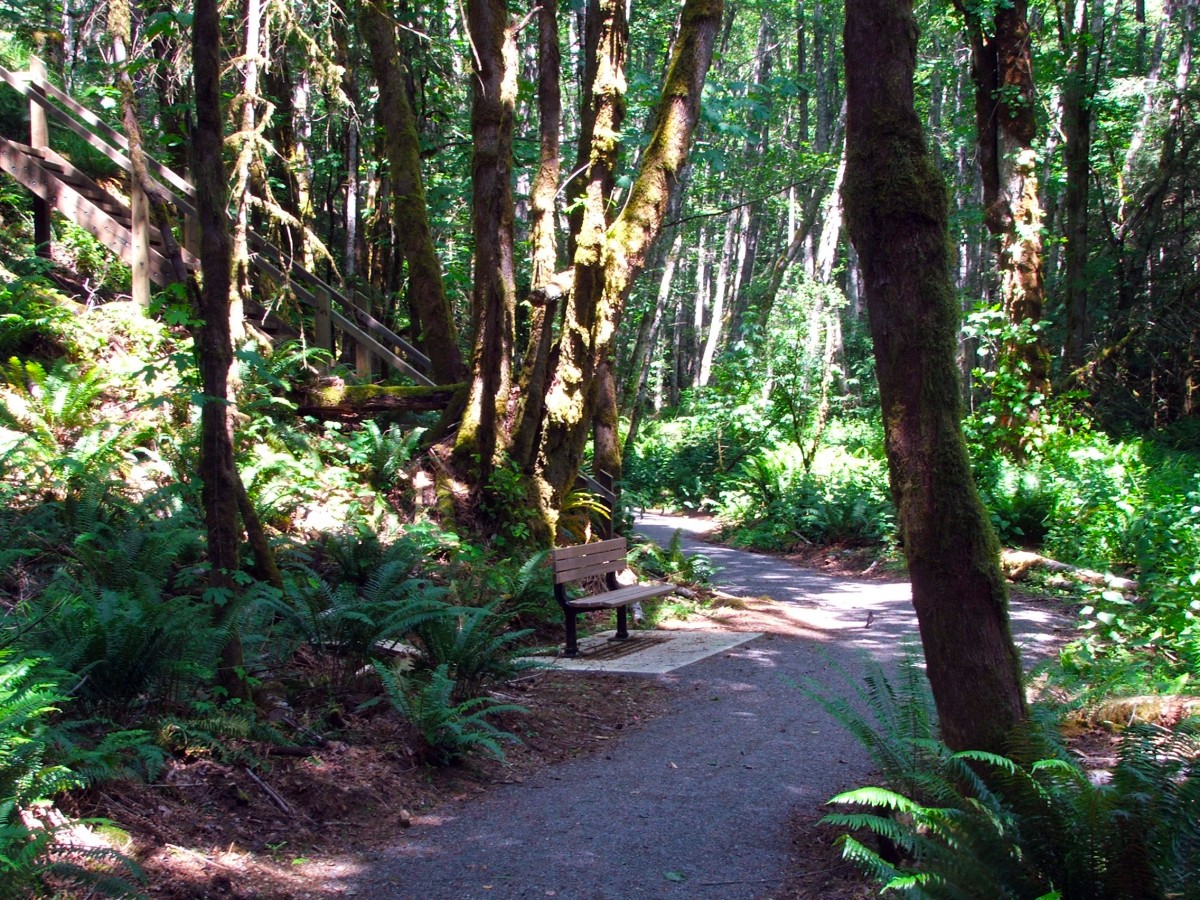 Latoria Creek Park stairs closed for repairs | The City of Colwood