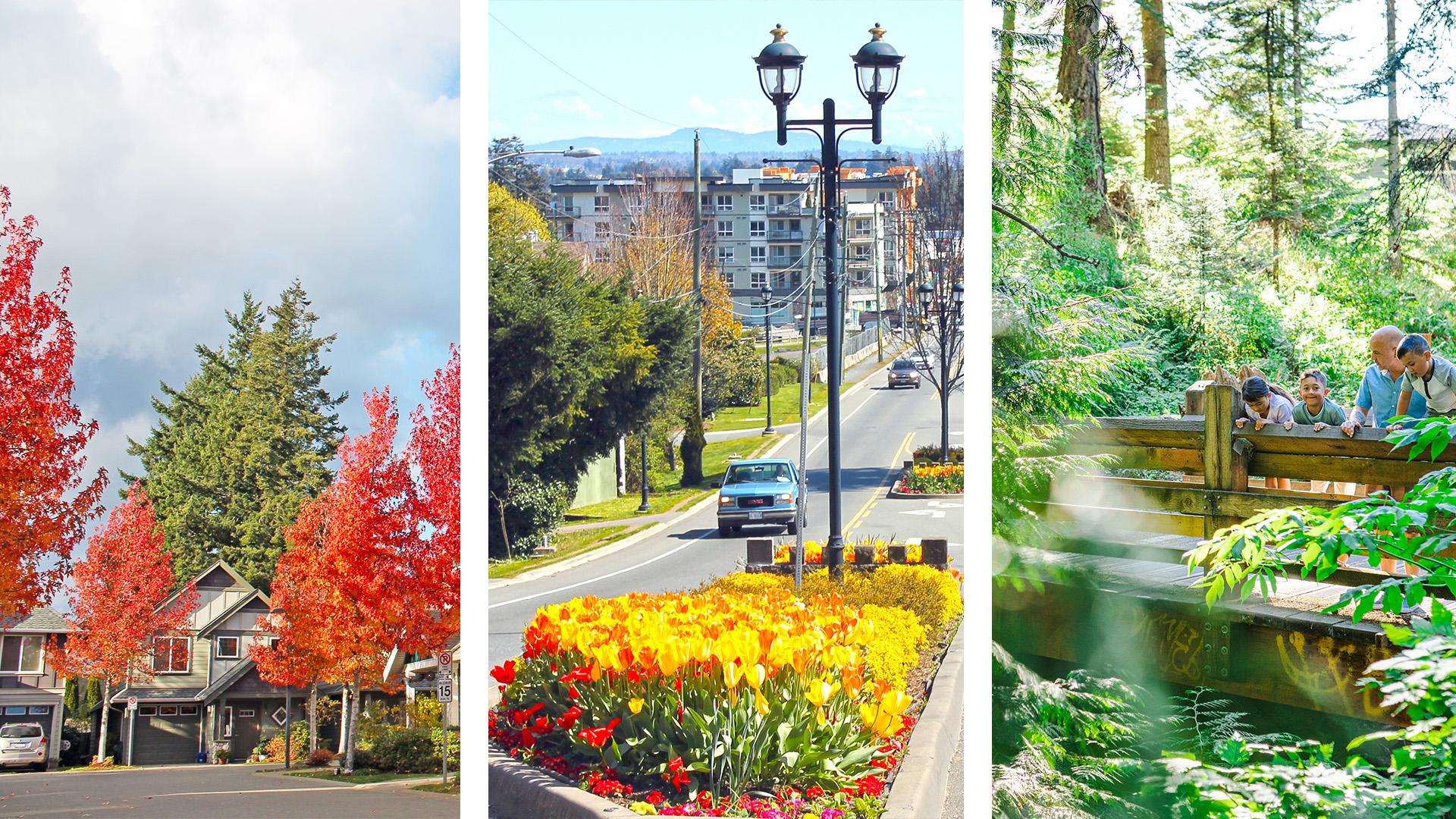 Three scenes of urban and natural environments: houses with autumn trees, a street with colorful flowers, and a family on a forest bridge.