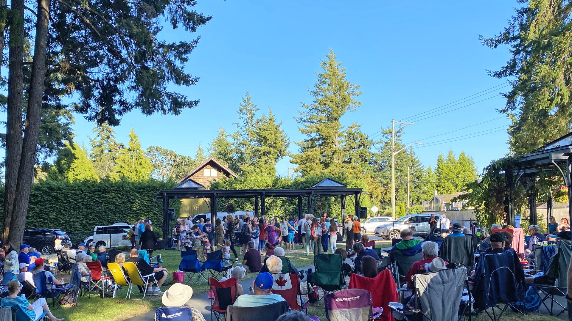 people in the park with a band