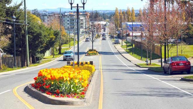 wale road tulip boulevard