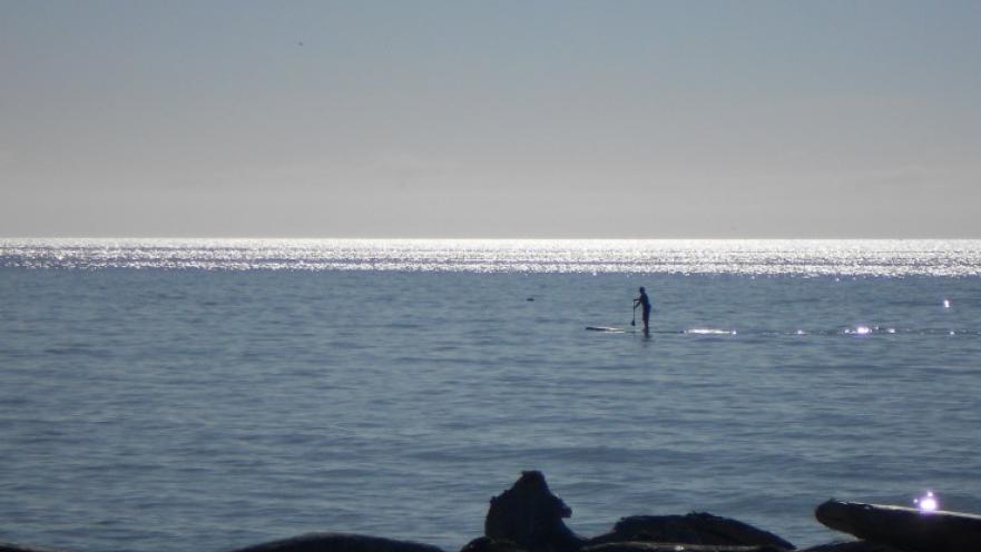 Person paddle boarding on lagoon.