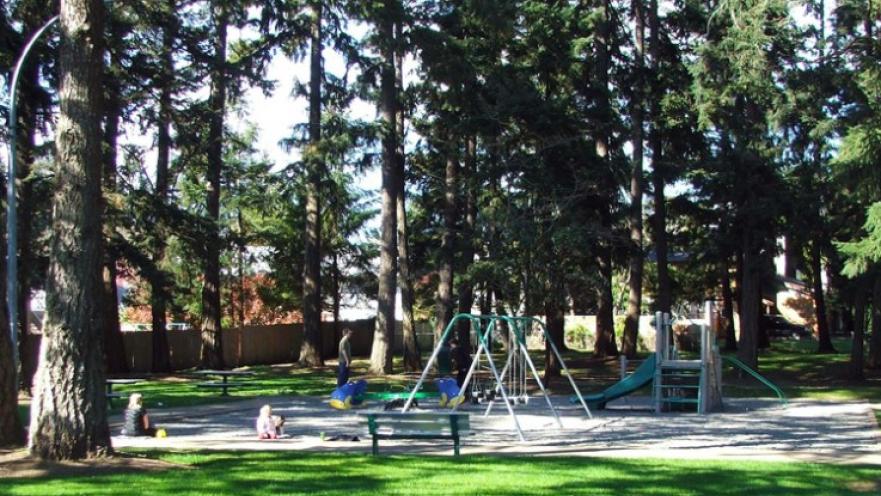 Playground with swing set.