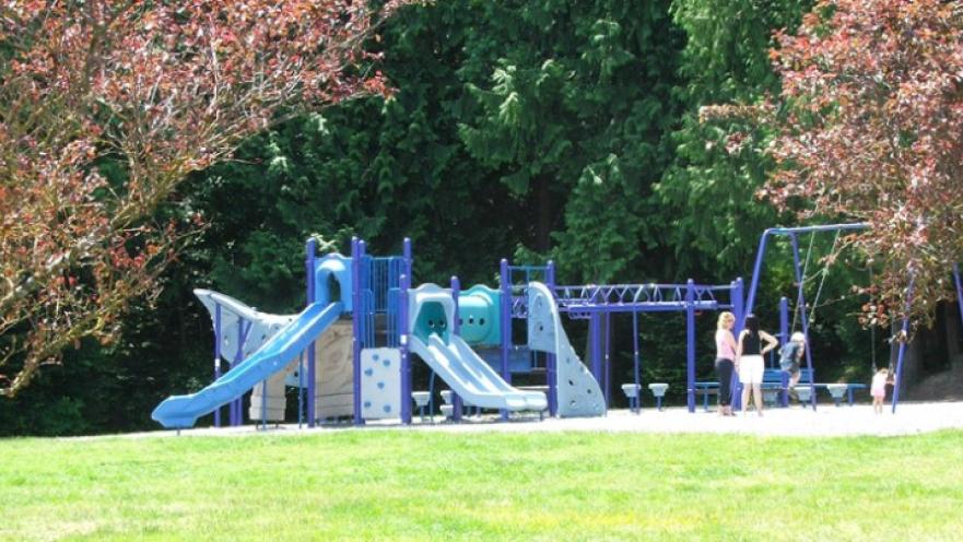 Park area with bright, colourful jungle gym set.