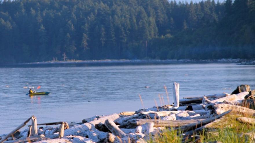 Person kayaking in middle of lake. There is some driftwood in the foreground.