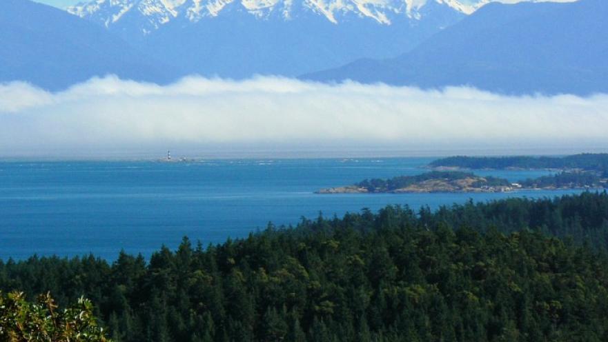 Panorama of Olympic mountains. The mountains are standing tall in the background. There is a large body of water and a wooded area in the foreground.