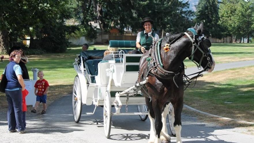 Driver on a horse-drawn carriage. There are some people near the carriage.