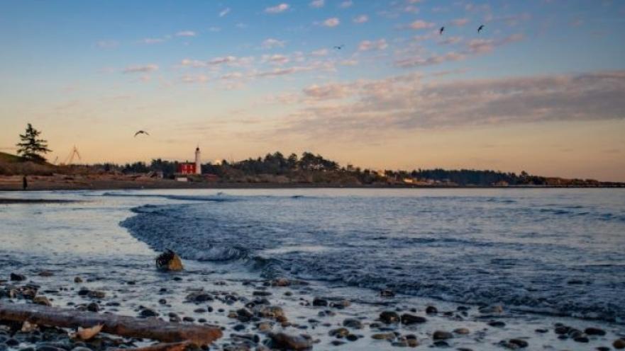 Panorama of coast with a lighthouse in the background. The sun is setting and there are some birds flying.