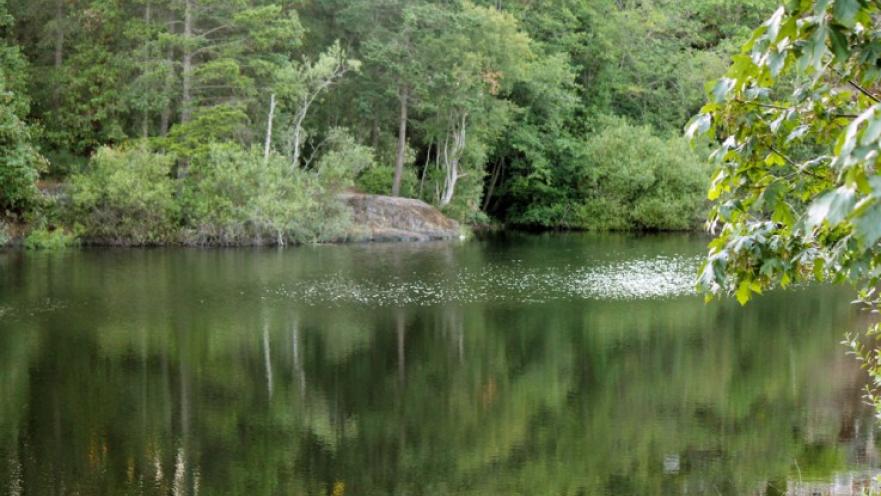 Lake surrounded by trees and rocks.