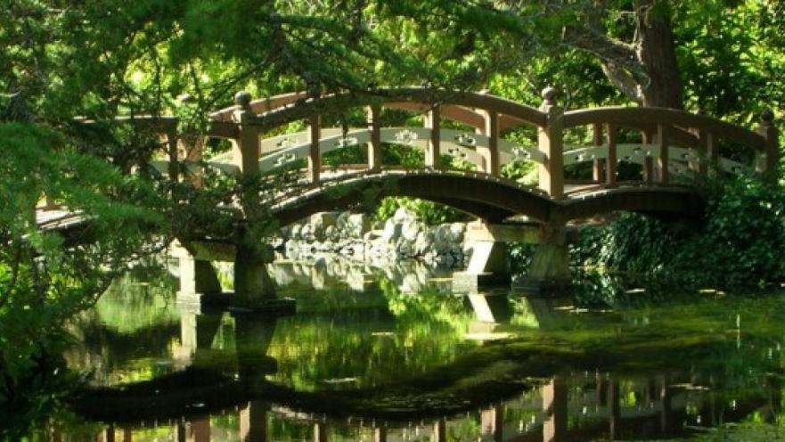 Wooden bridge over water. The bridge is surrounded by foliage. 