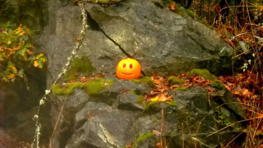 Pumpkin carved like a smiling face. The pumpkin is set on some rocky terrain.