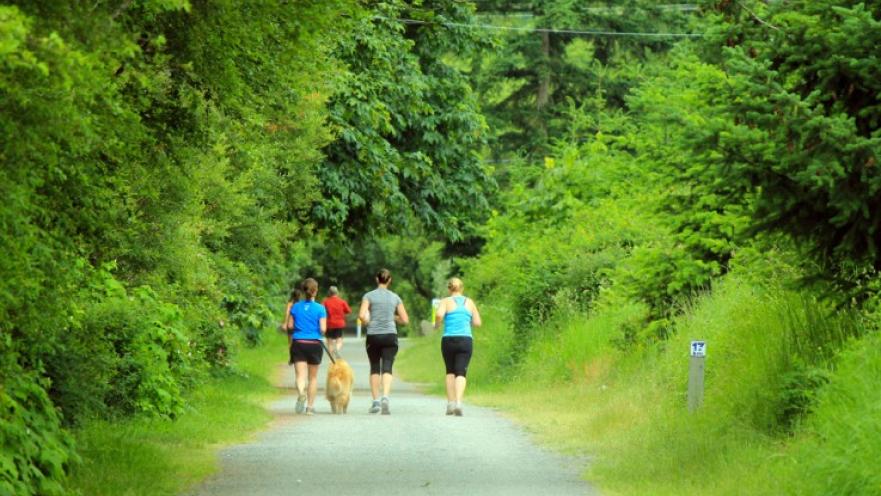 Group of women and dog walking on trail. The trail is surrounded with foliage.