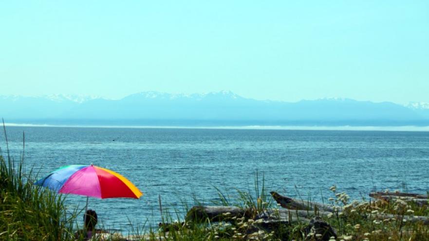 Panorama of the coast. There is a person under a colourful umbrella in the foreground.