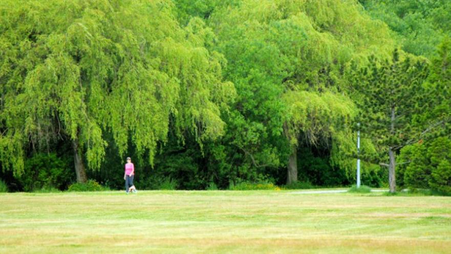 Woman dressed in a pink shirt walking their dog through park.