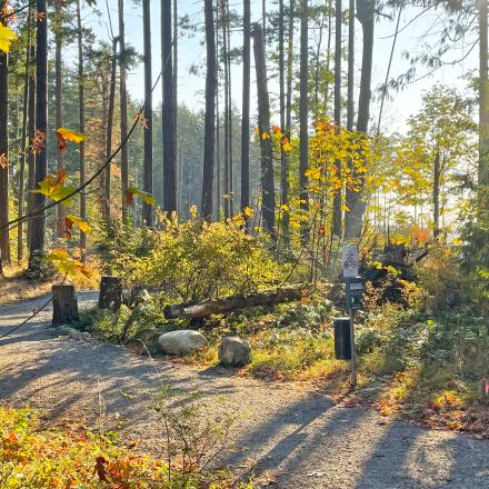 applegate trail