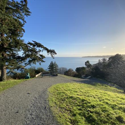 path leading to ocean