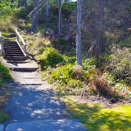 stairs into forested park