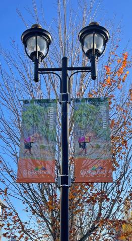 Streetlight banner in Colwood with an image of a person walking mindfully in nature, labeled "mindful."