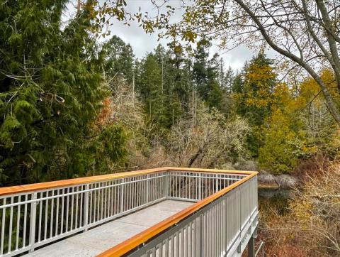 A wooden observation deck with metal railings overlooking a forested area with trees and underbrush.