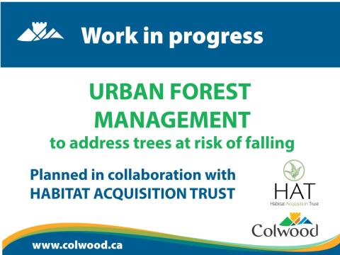 Sign for urban forest management, addressing trees at risk of falling, planned in collaboration with Habitat Acquisition Trust.