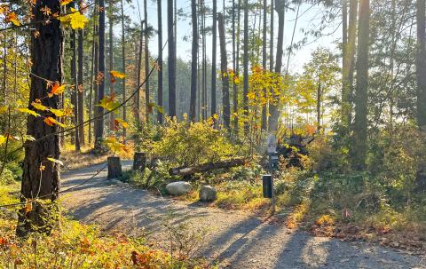 applegate trail