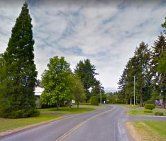 A tree-lined residential street on a cloudy day, with houses and well-maintained lawns on either side.