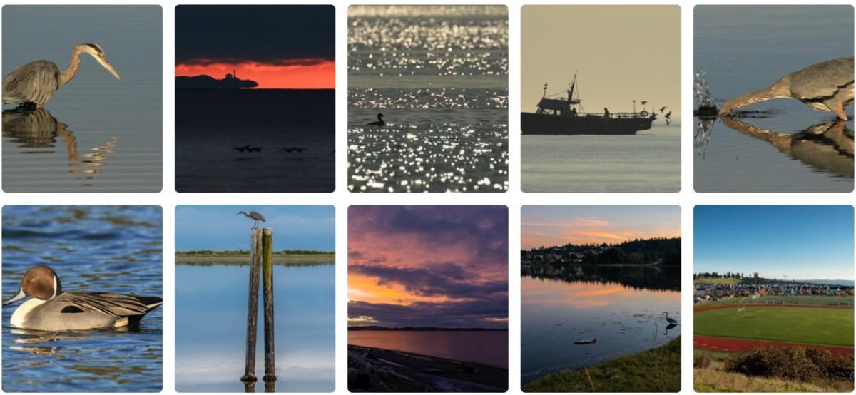 Collage of ten nature photographs including images of herons, ducks, a sunset over the water, a fishing boat, a colourful evening sky, and a stadium with spectators.