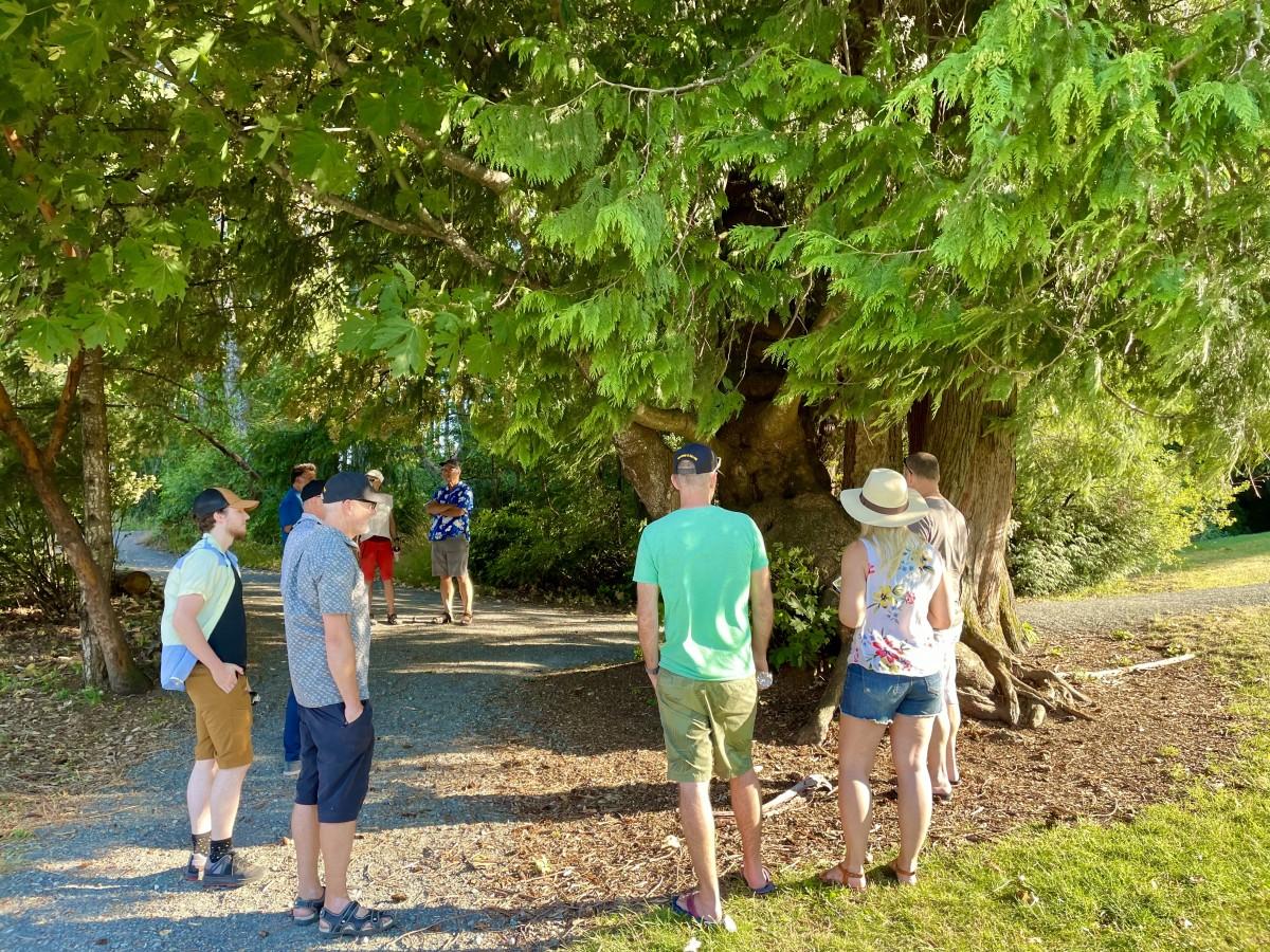 A group of people stands on a shaded path under large trees, engaging in conversation and observing their surroundings.