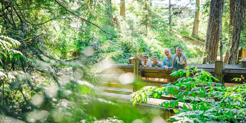 A family of four enjoying a walk on a wooden bridge in a lush, sunlit forest.