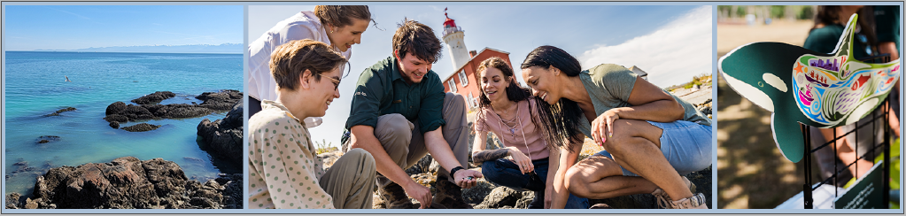 Collage of three images: the ocean with rocky shoreline, a group of people examining an item outdoors, and a colourful orca sculpture.