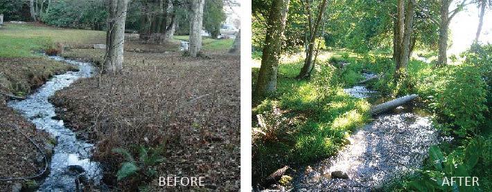 Before and after comparison of a stream restoration project, showing a dry, barren streambed in the "before" image and a lush, green streambed in the "after" image.