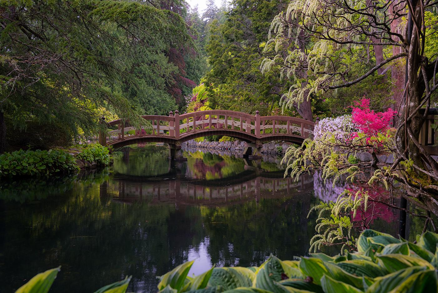 Tranquil scene of a Japanese garden with a wooden bridge over a reflective pond surrounded by lush greenery.