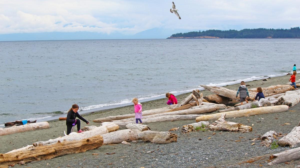 Children playing among driftwood logs on a pebbled beach with a calm sea in the background.