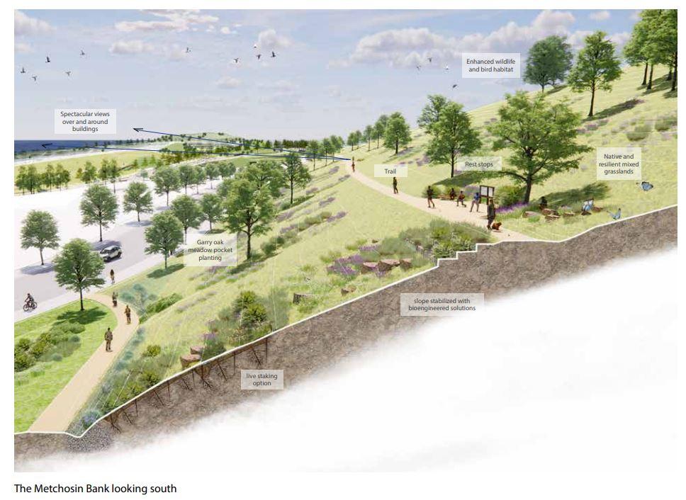 Illustration of Metchosin Bank showing a landscaped slope with trails, trees, and rest stops for enhanced wildlife and bird habitat.