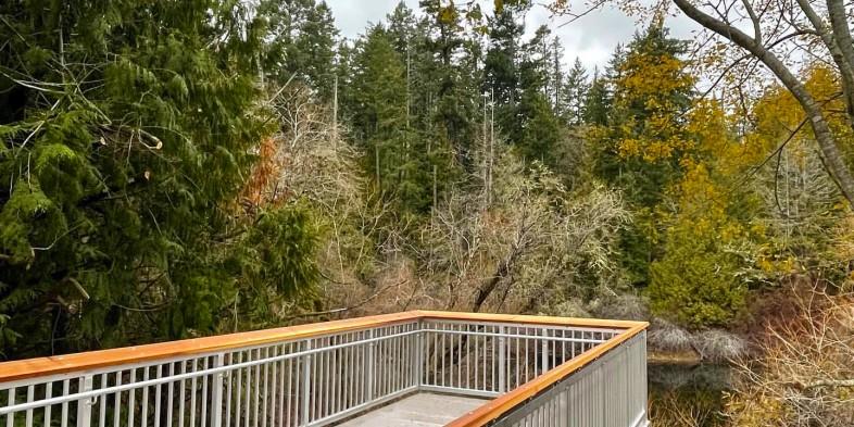 A wooden observation deck with metal railings overlooking a forested area with trees and underbrush.