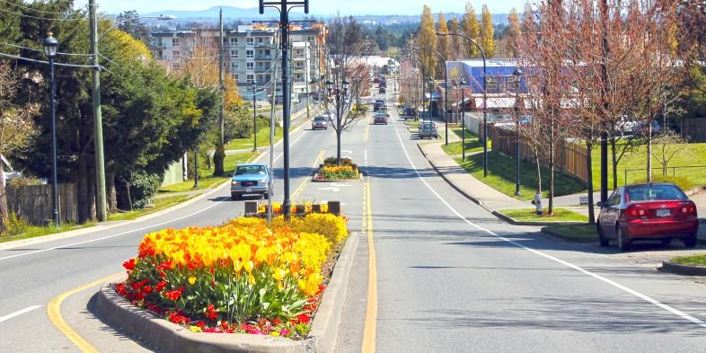 A sunny street lined with trees and flower beds in the median, with cars driving and parked along the side.