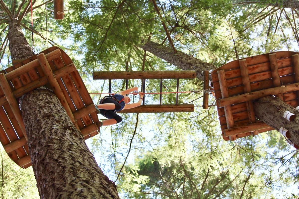 Person climbing a rope course high in the trees, with wooden platforms and safety harnesses.